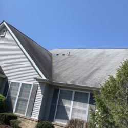 Affordable House Power Washing